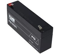 Fiamm FG10301 - Batteria al piombo, 3,0 Ah