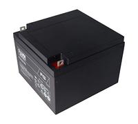 Fiamm FG22703 batteria al piombo da 12 volt, 27 Ah