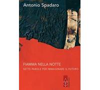 Fiamma nella notte. Sette parole per immaginare il futuro