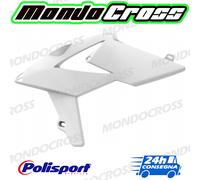 Fianchetti radiatore POLISPORT bianco BETA RR 300 2016 (16)