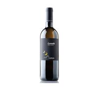 Fiano Cilento Paestum Cumalè DOC Biologico 2023 - Casebianche