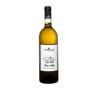 Fiano di Avellino 'Ciro 906' Ciro Picariello 2023