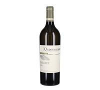 Fiano di Avellino 'Exultet' Quintodecimo 2025