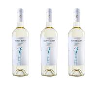 FIANO Salento IGP NOTTE ROSSA 3x CL.75 vino bianco