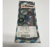 FIAT REGATA 85 S KIT GUARNIZIONE MOTORE PAYEN OEM DP250
