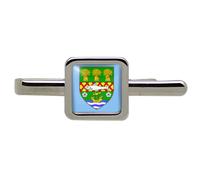 Fibbia Per Cravatta Square Contea Down (Irlanda Del Nord)