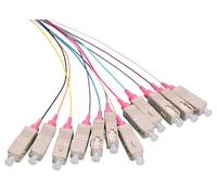 Fiber Pigtail Set 12x SC OM4 - 2M Colored with Violet - Connector - Warranty: 24M NEW