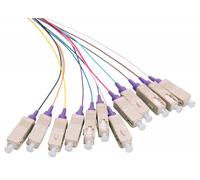 Fiber Pigtail Set 12x SC OM4 - 2M Colored with Violet - Connector - Warranty: 24M - Nouvo