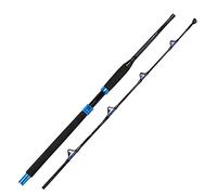 Fiblink Canna da pesca piegata in 2 pezzi in acqua salata Offshore Canna da pesca Big Game Roller Rod convenzionale canna da pesca per barche (lunghezza: 2,8 m)