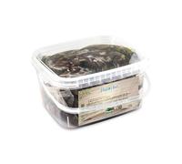 Ficacci - Olive Nere Denocciolate Riviera in Olio Evo 3Kg