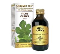 Ficus carica gemmo 10+100ml