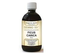 Dr Giorgini FICO (Ficus carica) Gemmoderivato Concentrato Liquido Analcoolico - 500 ml