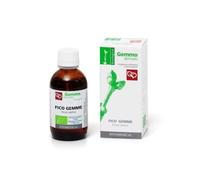 Fico Gemme Bio Mg 100ml