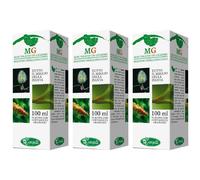Fico Macerato Glicerico 100 Ml 3x100 ml Soluzione orale