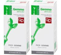 Fico Macerato Glicerico 50 Ml Bio 2x50 ml Gocce orali