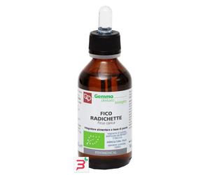 FICO RADICHETTE MACERATO GLICERICO 100 ML BIO
