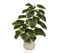 Ficus 3 - Piante artificiali Verde / bianco