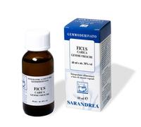 Ficus Carica Gemme 1000 Ml Mg