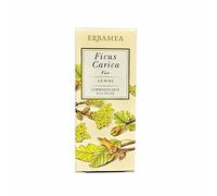 FICUS CARICA GEMME GEMMODERIVATO