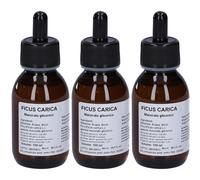 Ficus Carica Macerato Glicerico 10% Gocce 100 ml