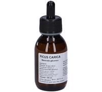 Ficus Carica Macerato Glicerico 10% Gocce 100 ml