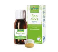 BO.FICUS CARICA 1DH GTT 60ML I