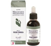 FICUS CARICA MACERATO MAGENTINA 50 ML