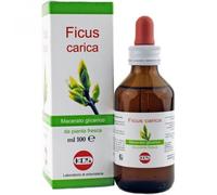 Ficus Carica Macerato Glicerico 100 Ml