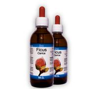 Ficus Carica Mg 50 Ml