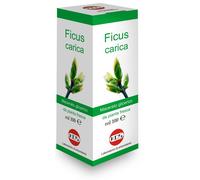 Ficus Carica Macerato Glicerico 100 Ml