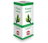 Oti Ficus Carica Macerato Glicerico 10% Gocce 100ml