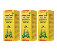 Ficus Carica Soluzione 3x100 ml Soluzione orale