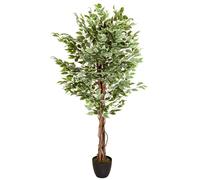 FICUS - Piante artificiali Verde