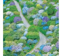 Fiddlehead Between the Richness (CD) Album