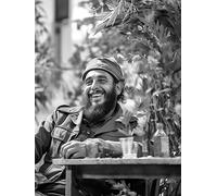 Fidel Castro is sitting in the garden | Poster | Wall Art | Decorazione per la casa |