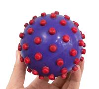 Fidget Balls, Tactile Sensory Toy, Hand Exercise, Stress Relief Game, Focus Enhancer, Educational Interactive Play, Mind Calming, Portable Fun Toy, for Desk School Party Boys Girls