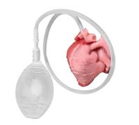 Fidget Toy, Stress Ball, Desk Accessory, Slow-Rebound Squeeze Heart with Realistic Pulse, Prank Sensory Game, Portable Pocket Size for Students Adults, Party Office, Holiday