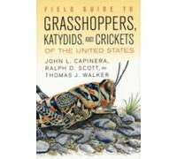 Field Guide to Grasshoppers, Katydids, and Crickets of the United St (Tascabile)