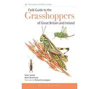 Field Guide to the Grasshoppers and Allies of Great Britain and Ireland: Grasshoppers, Crickets, Earwigs, Cockroaches, Mantids and Stick-insects