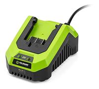 Caricabatterie - FIELDMANN - Per batteria da 20 V - Carica 2 Ah in 60 min - Compatibile con 2 Ah, 4 Ah