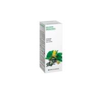FIENO GRECO 76 TM 50ml