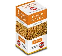 FIENO GRECO 90CPR 500MG