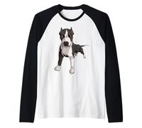Fiera Immagine Elegante Cane Pitbull Maglia con Maniche Raglan