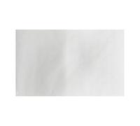 Fiesta Compostable Confezione da 200 fodere per pizza, 30,5 cm