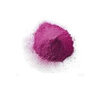 Fiestas Guirca - Lanciatore di polvere Holi Colorante 20-30G Rosa