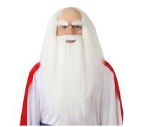 CARNEVALE HALLOWEEN PARRUCCA + BARBA DRUIDO PANORAMIX LEONARDO WIG BEARD