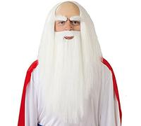 CARNEVALE HALLOWEEN PARRUCCA + BARBA DRUIDO PANORAMIX LEONARDO WIG BEARD