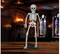FIESTAS GUIRCA | Scheletro in Piedi con Testa (55 cm) - Decorazione di Halloween per Feste di Teschi e Scheletri - Ideale per Celebrazioni Terrificanti e Eventi a Tema - Beige