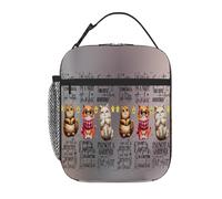 fifbird Borsa termica per il pranzo leggera da donna con pittura elegante custodia per il pranzo riutilizzabile borsa termica per pasti tote portatile a prova di perdite secchio per la preparazione