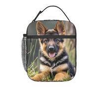 fifbird Borsa termica per il pranzo per uomini e donne riutilizzabile Lunch Box Sea Otter Lunch Case a tenuta stagna borse termiche